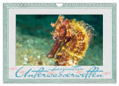Faszination Unterwasserwelten (Wandkalender 2025 DIN A4 quer), CALVENDO Monatskalender