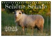 Schöne Schafe (Tischkalender 2025 DIN A5 quer), CALVENDO Monatskalender