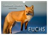 Fuchs - schlauer Räuber (Wandkalender 2025 DIN A4 quer), CALVENDO Monatskalender