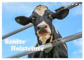 Sanfte Holsteiner (Tischkalender 2025 DIN A5 quer), CALVENDO Monatskalender
