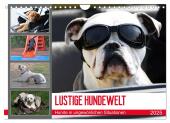 LUSTIGE HUNDEWELT Hunde in ungewönlichen Situationen (Wandkalender 2025 DIN A4 quer), CALVENDO Monatskalender