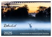 Rotwild - im Naturparadies der Mecklenburgischen Seenplatte (Tischkalender 2025 DIN A5 quer), CALVENDO Monatskalender