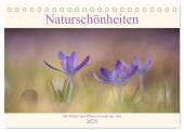 Naturschönheiten - mit Blüten und Pflanzen durch das Jahr (Tischkalender 2025 DIN A5 quer), CALVENDO Monatskalender