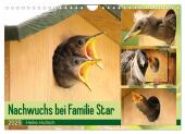 Nachwuchs bei Familie Star (Wandkalender 2025 DIN A4 quer), CALVENDO Monatskalender