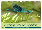 Farbenpracht der Insekten (Wandkalender 2025 DIN A4 quer), CALVENDO Monatskalender