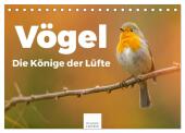 Vögel - Die Könige der Lüfte (Tischkalender 2025 DIN A5 quer), CALVENDO Monatskalender