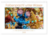 Farbenpracht unter Wasser (Wandkalender 2025 DIN A4 quer), CALVENDO Monatskalender