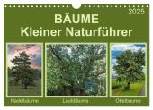 Bäume Kleiner Naturführer (Wandkalender 2025 DIN A4 quer), CALVENDO Monatskalender