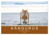 Kängurus, sprunghafte Gesellen (Wandkalender 2025 DIN A4 quer), CALVENDO Monatskalender