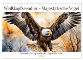 Weißkopfseeadler - Majestätische Vögel (Wandkalender 2025 DIN A4 quer), CALVENDO Monatskalender