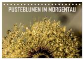 Pusteblumen im Morgentau (Tischkalender 2025 DIN A5 quer), CALVENDO Monatskalender