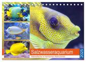 Salzwasseraquarium. Meeresfische im heimischen Wohnzimmer (Tischkalender 2025 DIN A5 quer), CALVENDO Monatskalender