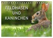 Feldhasen und Kaninchen (Tischkalender 2025 DIN A5 quer), CALVENDO Monatskalender