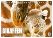Giraffen: die afrikanischen Tiere mit Weitblick (Tischkalender 2025 DIN A5 quer), CALVENDO Monatskalender