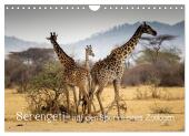 Serengeti - auf den Spuren eines Zoologen (Wandkalender 2025 DIN A4 quer), CALVENDO Monatskalender