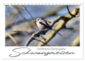 Gefiederte Gartengäste, Schwanzmeisen (Tischkalender 2025 DIN A5 quer), CALVENDO Monatskalender