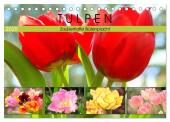 Tulpen. Zauberhafte Blütenpracht (Tischkalender 2025 DIN A5 quer), CALVENDO Monatskalender