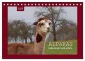 Alpakas - liebenswert und schön (Tischkalender 2025 DIN A5 quer), CALVENDO Monatskalender