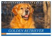 Golden Retriever - Freunde auf 4 Pfoten (Tischkalender 2025 DIN A5 quer), CALVENDO Monatskalender