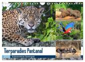 Tierparadies Pantanal (Wandkalender 2025 DIN A4 quer), CALVENDO Monatskalender