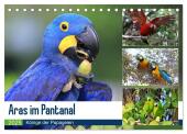 Aras im Pantanal (Tischkalender 2025 DIN A5 quer), CALVENDO Monatskalender