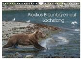 Grizzlybären im Katmai Nationalpark Alaska (Wandkalender 2025 DIN A4 quer), CALVENDO Monatskalender