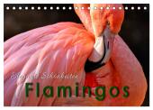 Flamingos - elegante Schönheiten (Tischkalender 2025 DIN A5 quer), CALVENDO Monatskalender