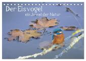 Der Eisvogel, ein Juwel der Natur (Tischkalender 2025 DIN A5 quer), CALVENDO Monatskalender