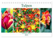 Tulpen - kunterbunte Collagen (Tischkalender 2025 DIN A5 quer), CALVENDO Monatskalender