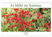 Es blüht im Sommer (Tischkalender 2025 DIN A5 quer), CALVENDO Monatskalender