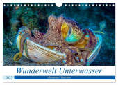 Wunderwelt Unterwasser (Wandkalender 2025 DIN A4 quer), CALVENDO Monatskalender
