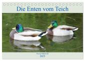 Die Enten vom Teich (Tischkalender 2025 DIN A5 quer), CALVENDO Monatskalender
