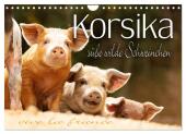Korsika - süße, wilde Schweinchen (Wandkalender 2025 DIN A4 quer), CALVENDO Monatskalender