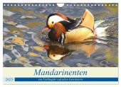 Mandarinenten, ein Farbtupfer auf allen Gewässern. (Wandkalender 2025 DIN A4 quer), CALVENDO Monatskalender