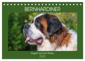 Bernhardiner - Gigant auf vier Pfoten (Tischkalender 2025 DIN A5 quer), CALVENDO Monatskalender