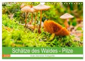 Schätze des Waldes - Pilze (Wandkalender 2025 DIN A4 quer), CALVENDO Monatskalender