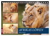 Afrikas Löwen 2025 (Tischkalender 2025 DIN A5 quer), CALVENDO Monatskalender