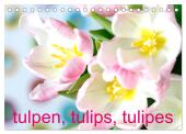 Tulpen, Tulips, Tulipes (Tischkalender 2025 DIN A5 quer), CALVENDO Monatskalender