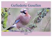 Gefiederte Gesellen - Vögel aus Wald und Garten (Wandkalender 2025 DIN A4 quer), CALVENDO Monatskalender