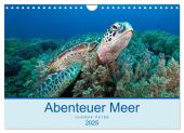 Abenteuer Unterwasser (Wandkalender 2025 DIN A4 quer), CALVENDO Monatskalender