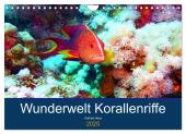 Wunderwelt Korallenriffe (Wandkalender 2025 DIN A4 quer), CALVENDO Monatskalender