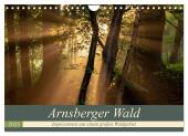 Arnsberger Wald (Wandkalender 2025 DIN A4 quer), CALVENDO Monatskalender