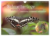 achja?! Schmetterlinge, exotisch, bunt und wunderschön (Wandkalender 2025 DIN A4 quer), CALVENDO Monatskalender