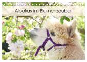 Alpakas im Blumenzauber (Tischkalender 2025 DIN A5 quer), CALVENDO Monatskalender