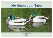 Die Enten vom Teich (Wandkalender 2025 DIN A4 quer), CALVENDO Monatskalender