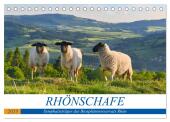 Rhönschafe - Symphatieträger des Biosphärenreservats Rhön (Tischkalender 2025 DIN A5 quer), CALVENDO Monatskalender