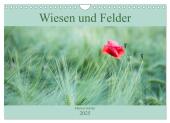 Wiesen und Felder (Wandkalender 2025 DIN A4 quer), CALVENDO Monatskalender