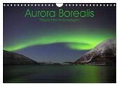 Aurora Borealis: Polarlichter in Norwegen (Wandkalender 2025 DIN A4 quer), CALVENDO Monatskalender