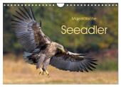 Majestätische Seeadler (Wandkalender 2025 DIN A4 quer), CALVENDO Monatskalender