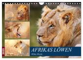 Afrikas Löwen 2025 (Wandkalender 2025 DIN A4 quer), CALVENDO Monatskalender